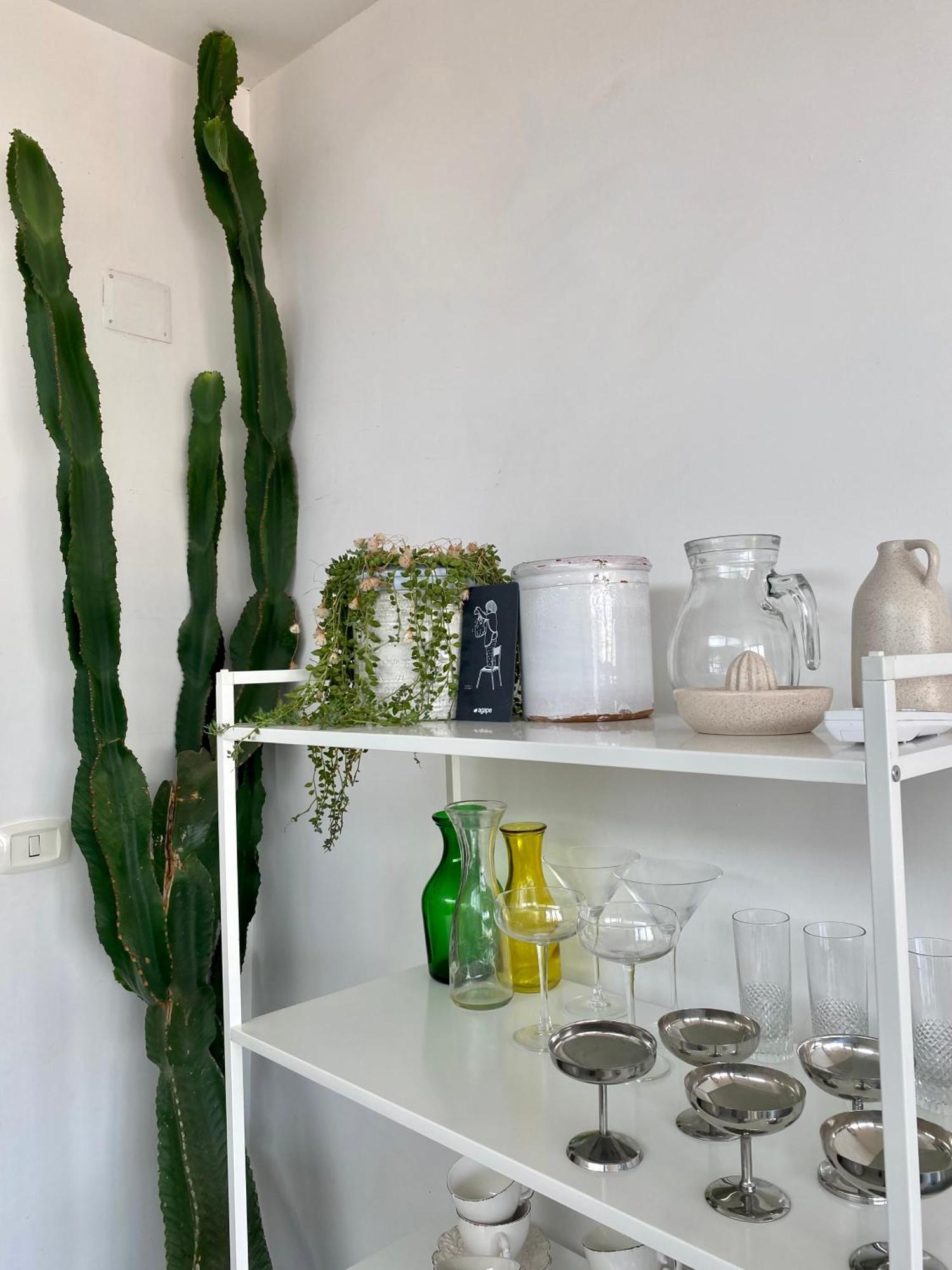 Tresor Historic Centre Apartment *